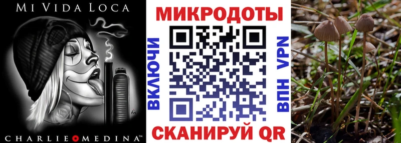 Купить где  Новоалтайск  Галлюциногенные грибы мухоморы 